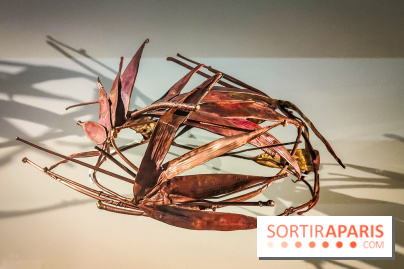 Les fleurs d'Yves Saint Laurent : l'exposition se dévoile en images au musée YSL