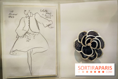Les fleurs d'Yves Saint Laurent : l'exposition se dévoile en images au musée YSL