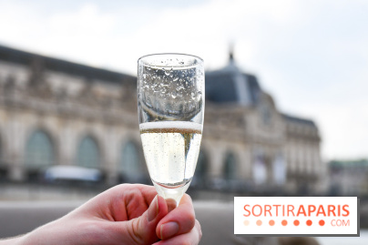 Une croisière privée en amoureux sur la Seine