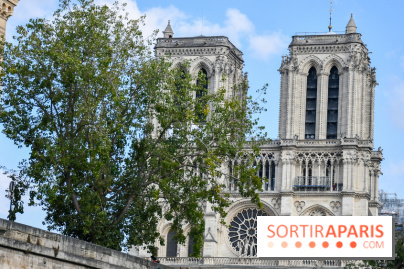 Une croisière privée en amoureux sur la Seine - DSC 2252
