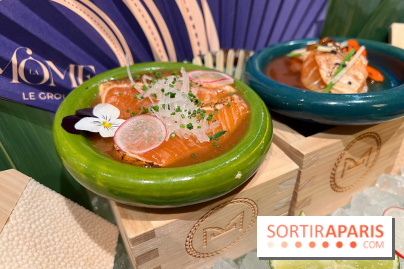 Mido Paris - Sashimi saumon