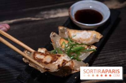 Gaijin Ramen restaurant -  Gyoza