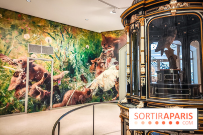 Bruno Liljefors, la Suède sauvage : l'exposition poétique se dévoile en images au Petit Palais - IMG20240930093920