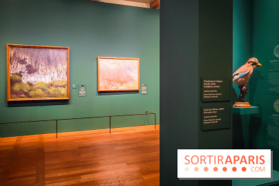 Bruno Liljefors, la Suède sauvage : l'exposition poétique se dévoile en images au Petit Palais - IMG20240930102545