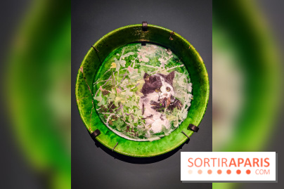 Bruno Liljefors, la Suède sauvage : l'exposition poétique se dévoile en images au Petit Palais - IMG20240930100030