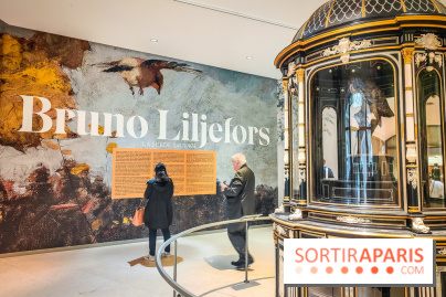 Bruno Liljefors, la Suède sauvage : l'exposition poétique se dévoile en images au Petit Palais - IMG20240930093907