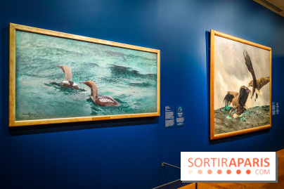 Bruno Liljefors, la Suède sauvage : l'exposition poétique se dévoile en images au Petit Palais - IMG20240930101553