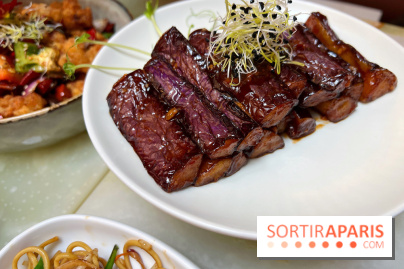 Red Katz - Aubergines Hongshao