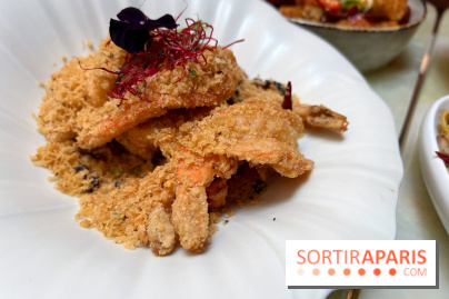 Red Katz - Crevettes Black Tiger