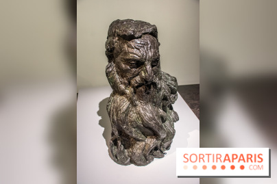 Rodin/Bourdelle - Corps à corps au Musée Bourdelle - DSC 1205