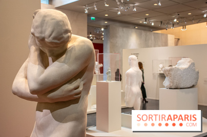 Rodin/Bourdelle - Corps à corps au Musée Bourdelle - DSC 1214