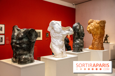 Rodin/Bourdelle - Corps à corps au Musée Bourdelle - DSC 1225