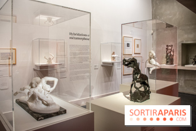 Rodin/Bourdelle - Corps à corps au Musée Bourdelle - DSC 1243