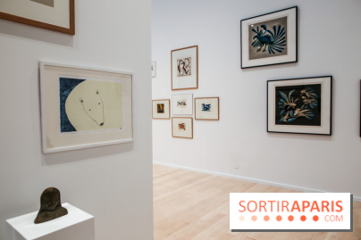 Exposition sur l'art inuit au Centre culturel canadien, nos photos