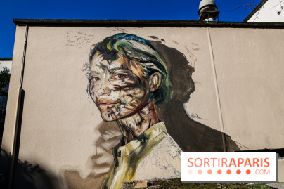 L'usine fait le mur, nos photos du festival de street art dans le 94 - IMG 6209