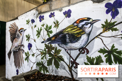 L'usine fait le mur, nos photos du festival de street art dans le 94 - IMG 6217