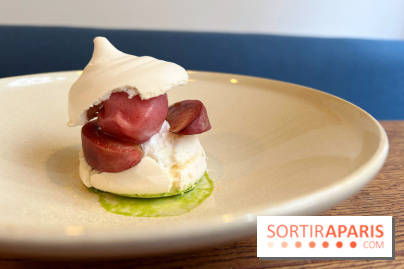 Erso - Pavlova pêche de vigne