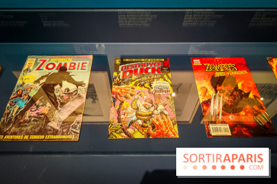 Zombis, la mort n'est pas une fin : l'exposition du musée du Quai Branly - IMG20241007111748