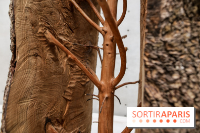 Arte Povera, l'exposition à la Bourse de Commerce, nos photos - IMG 6243