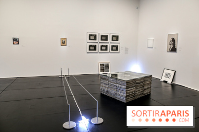 Arte Povera, l'exposition à la Bourse de Commerce, nos photos - IMG 6257