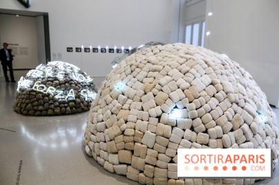 Arte Povera, l'exposition à la Bourse de Commerce, nos photos - IMG 6292