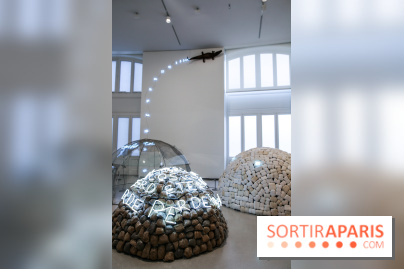 Arte Povera, l'exposition à la Bourse de Commerce, nos photos - IMG 6296