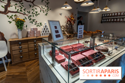 La chocolaterie et salon de thé Jardin Sucré à Dampierre - 78 -  A7C3658