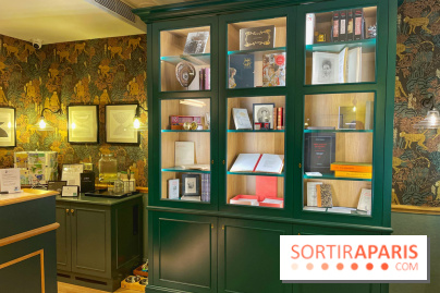 Arthur Rimbaud : l'hôtel littéraire - IMG 4881