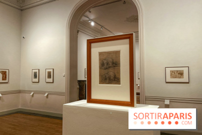 Naissance et Renaissance du dessin italien - IMG 4956