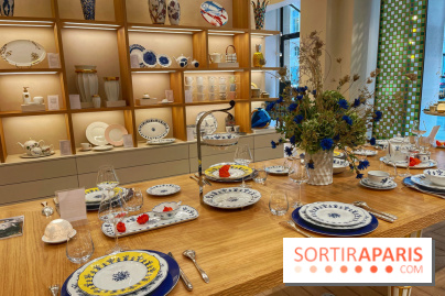 Institut Bernardaud - porcelaine