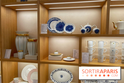 Institut Bernardaud - porcelaine