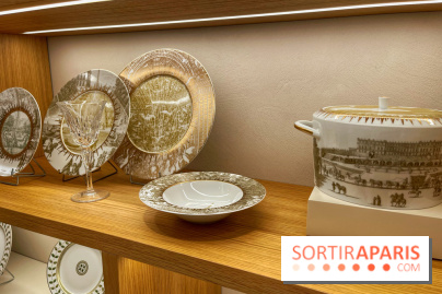 Institut Bernardaud - porcelaine