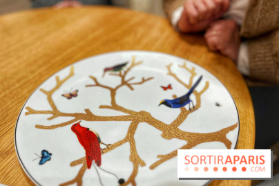 Institut Bernardaud - porcelaine