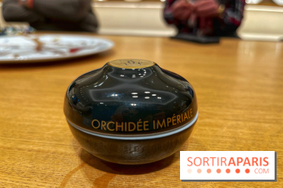 Institut Bernardaud - porcelaine