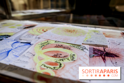 Ylva Snöfrid, exposition Cosmos et Vanitas à l'Institut suédois, nos photos - IMG 6365