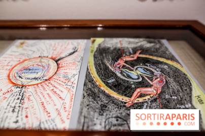 Ylva Snöfrid, exposition Cosmos et Vanitas à l'Institut suédois, nos photos