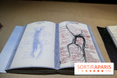 Ylva Snöfrid, exposition Cosmos et Vanitas à l'Institut suédois, nos photos - IMG 6373