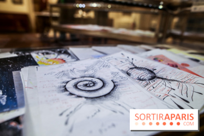 Ylva Snöfrid, exposition Cosmos et Vanitas à l'Institut suédois, nos photos - IMG 6375