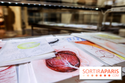 Ylva Snöfrid, exposition Cosmos et Vanitas à l'Institut suédois, nos photos - IMG 6377