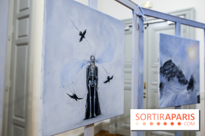 Ylva Snöfrid, exposition Cosmos et Vanitas à l'Institut suédois, nos photos - IMG 6401