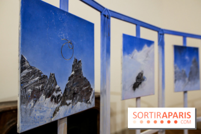 Ylva Snöfrid, exposition Cosmos et Vanitas à l'Institut suédois, nos photos - IMG 6402