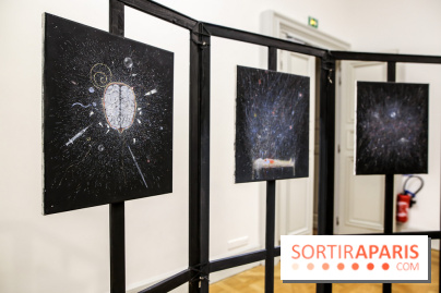 Ylva Snöfrid, exposition Cosmos et Vanitas à l'Institut suédois, nos photos - IMG 6405