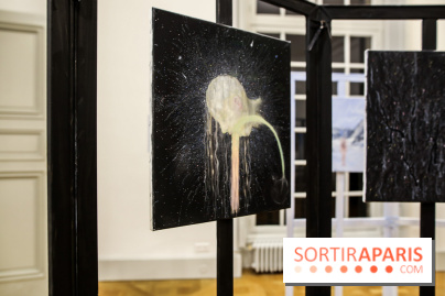 Ylva Snöfrid, exposition Cosmos et Vanitas à l'Institut suédois, nos photos