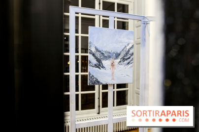 Ylva Snöfrid, exposition Cosmos et Vanitas à l'Institut suédois, nos photos