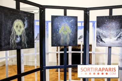 Ylva Snöfrid, exposition Cosmos et Vanitas à l'Institut suédois, nos photos - IMG 6408