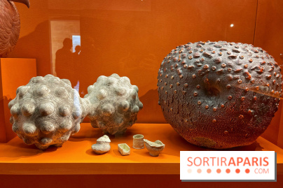 Merveilles - Sèvres - IMG 5132