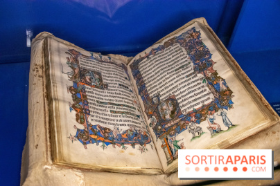 Figures du fou au musée du Louvre : l'exposition loufoque à découvrir - DSC 1334