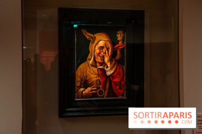 Figures du fou au musée du Louvre : l'exposition loufoque à découvrir - DSC 1391
