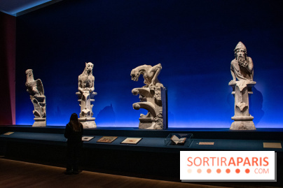 Figures du fou au musée du Louvre : l'exposition loufoque à découvrir - DSC 1416