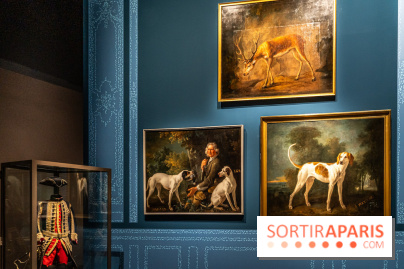Les photos de l'exposition Oudry, peinte de courre au Château de Fontainebleau